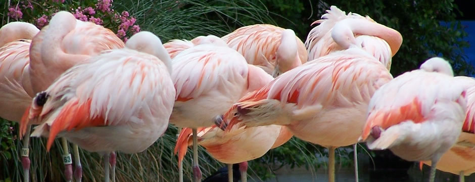 让业务更稳定的ddos在线攻击工具